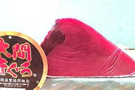 千葉県銚子産天然メバチマグロ
